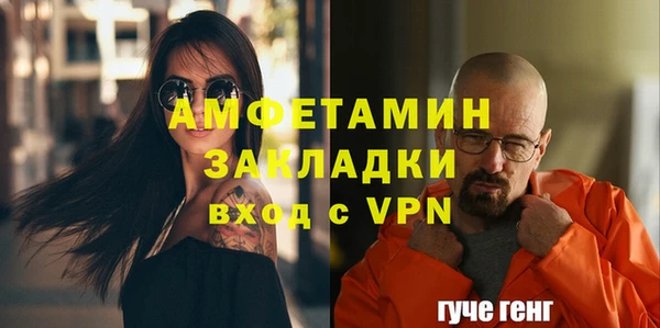 стаф Вяземский