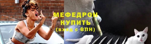 стаф Вяземский