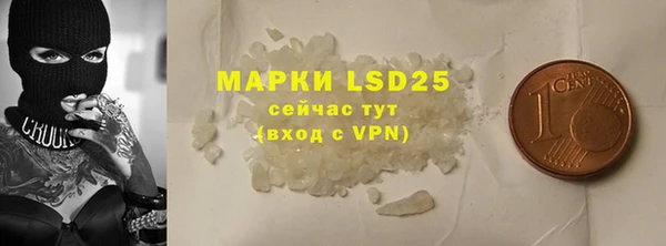 стаф Вяземский