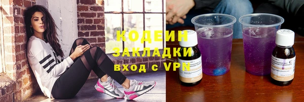 стаф Вяземский