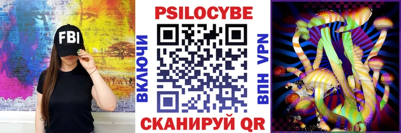 Галлюциногенные грибы Psilocybe купить Исилькуль