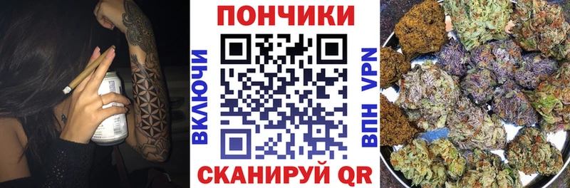 Бошки марихуана сатива  Исилькуль 